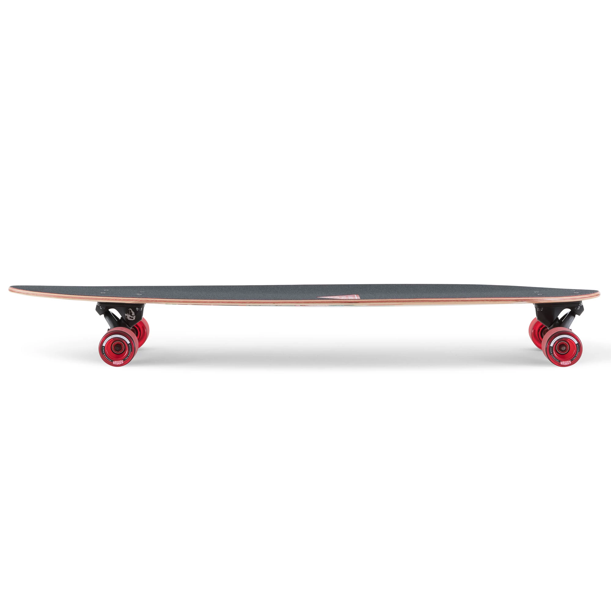 Landyachtz Condor Paradise Longboard 7 Landyachtz Condor Paradise Longboard - Image 5